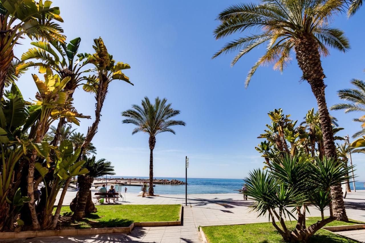 Apartamento Caballero De Rodas Torrevieja Eksteriør billede